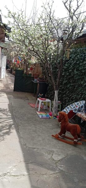 Parcul Carol -Echinoctiului Casa